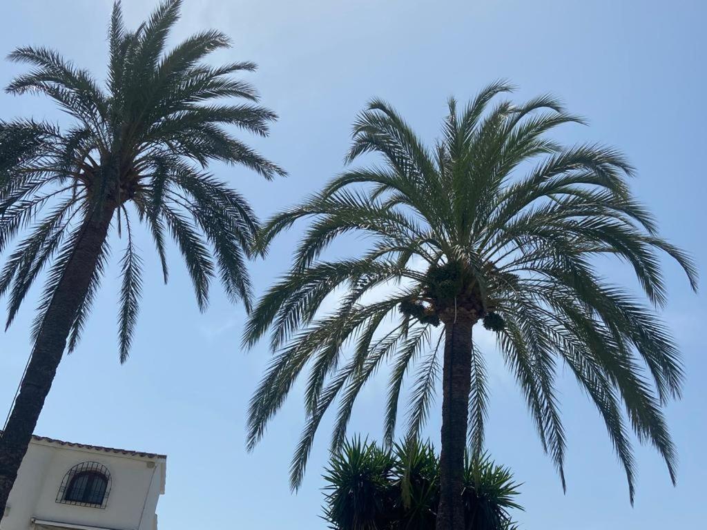 Appartement Urb Oasis Park Ii Denia, Marinas *